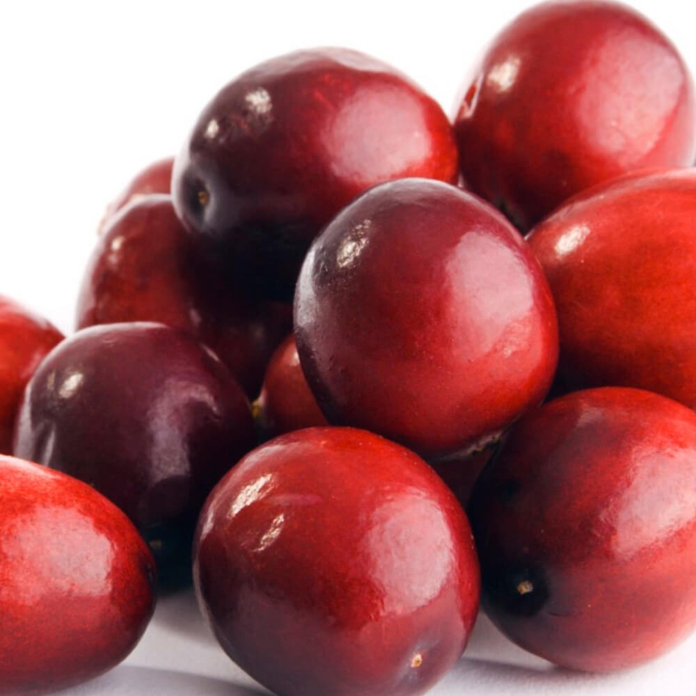 La canneberge ou cranberry, contre les infections urinaires, bienfaits,  vertus et atouts santé